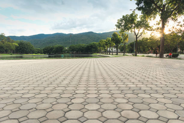 Best Residential Driveway Paver Services  in Holly Springs, NC