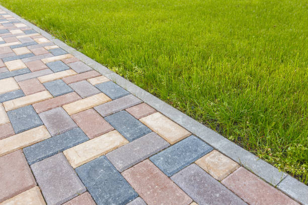 Reasons to Select Us for Your Driveway Paving Requirements in Holly Springs, NC